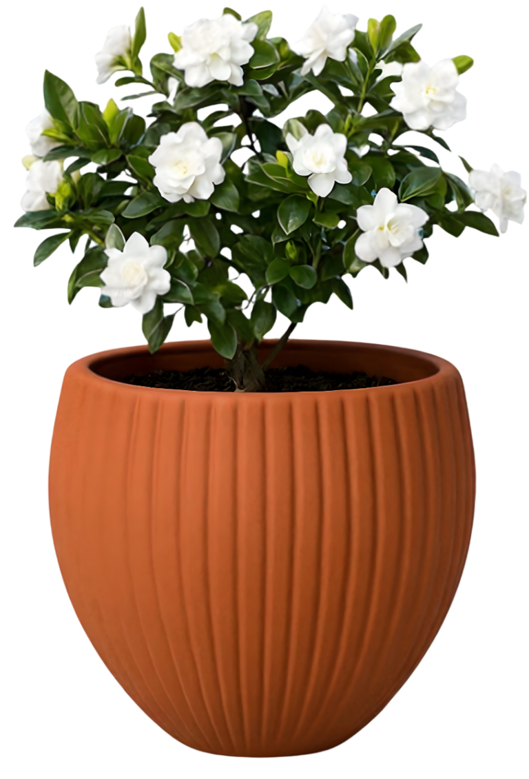 Arinfa Pots and planters